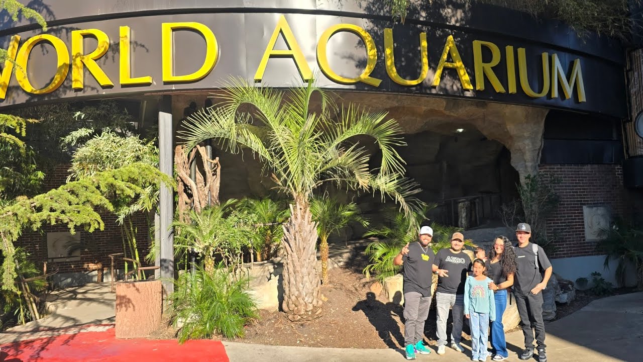 Dallas Aquarium 2026 - Acuario de Dallas 2026