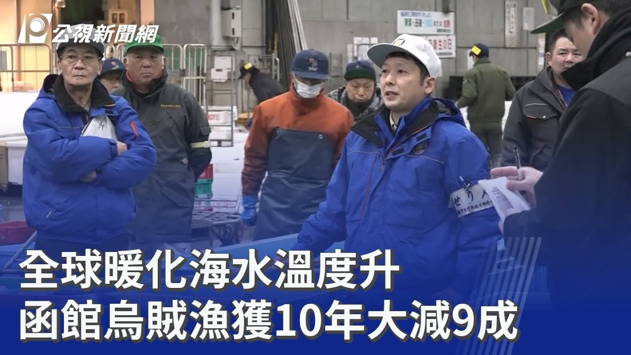 全球暖化海水溫度升 函館烏賊漁獲10年大減9成｜20260223 公視晚間新聞