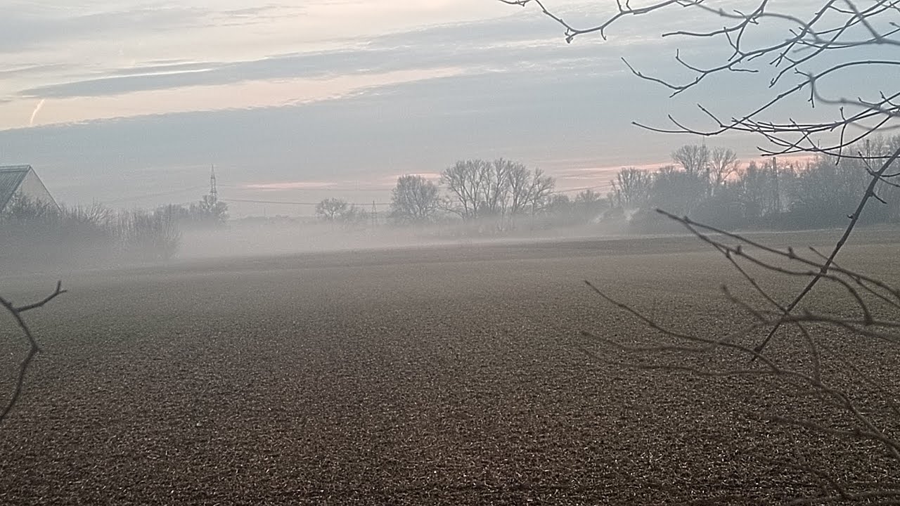 Keine Jagd nach dem alten Licht ( offizielles video) 