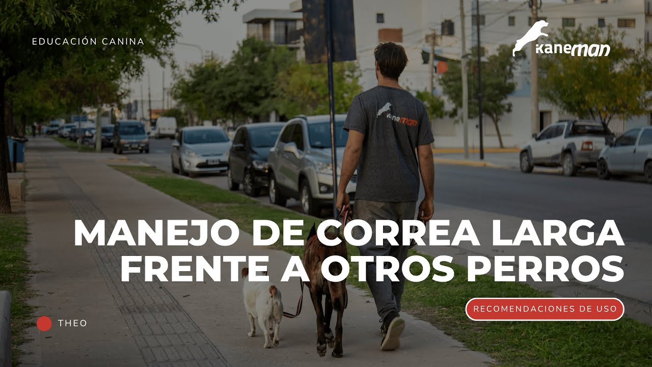 Cómo manejar la correa cuando aparecen otros perros | Comunicación a distancia y respeto del espacio