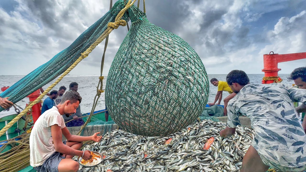 Amazing‼️ Epic Trawlnet Fishing – Tons of Fish in One Pull💢‼️