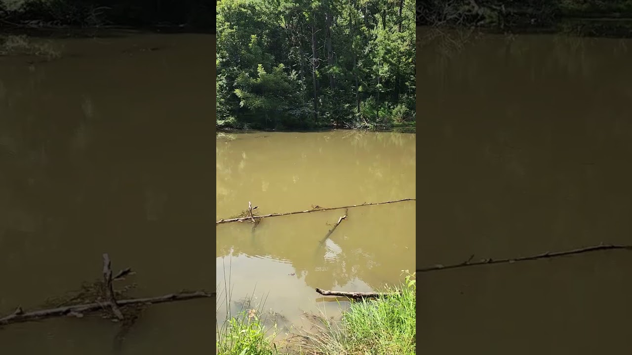 Ribbonwalk Nature Preserve near Charlotte North Carolina
