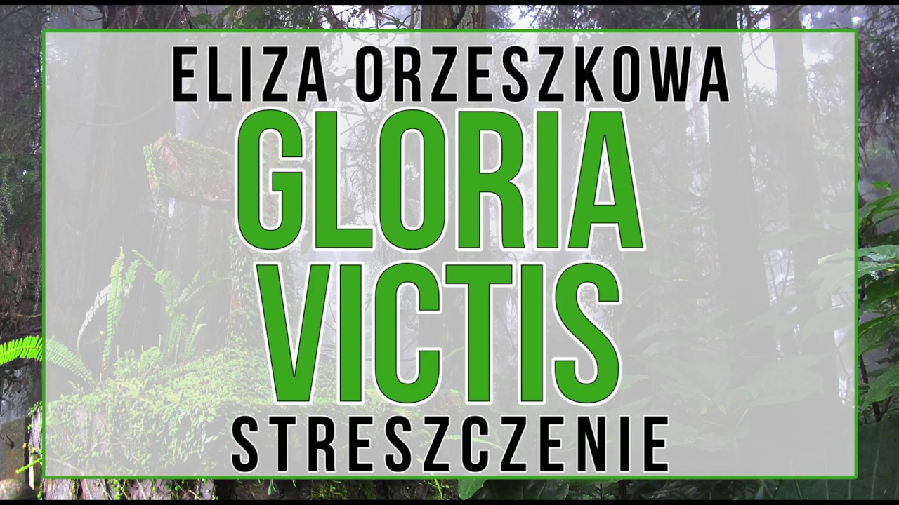 Gloria victis - streszczenie