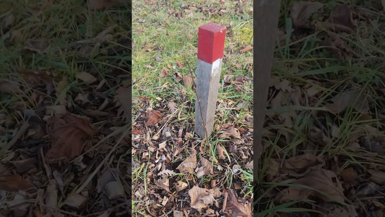 J'ai planté 100 arbres fruitiers (sans trop savoir ce que je faisais) pour créer mon verger.