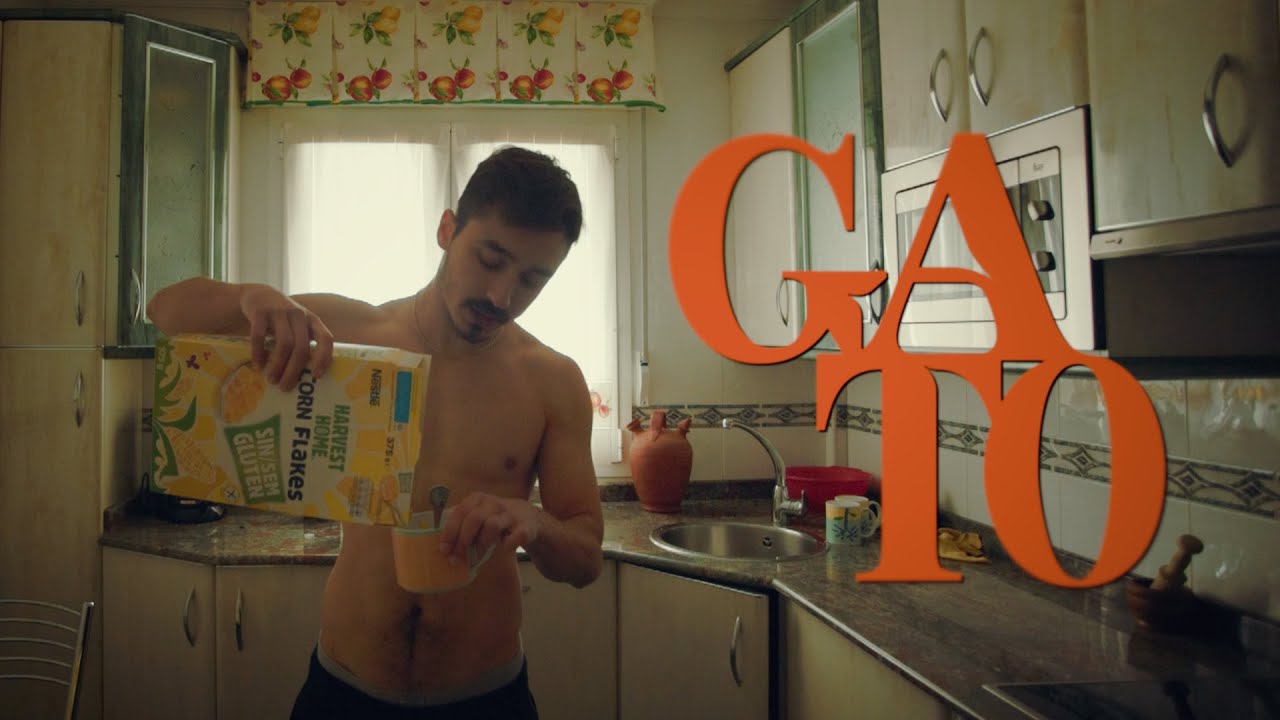 VAZKEZ - GATO (PROD. LAJOYERIA)