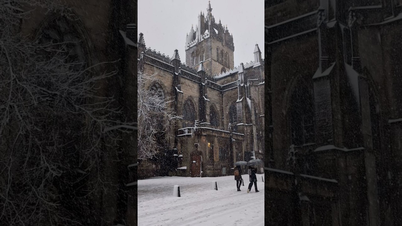 Snow days in Edinburgh are simply magical ☃️ #snowdays #edinburgh #winterwonderland #scotlandwinter