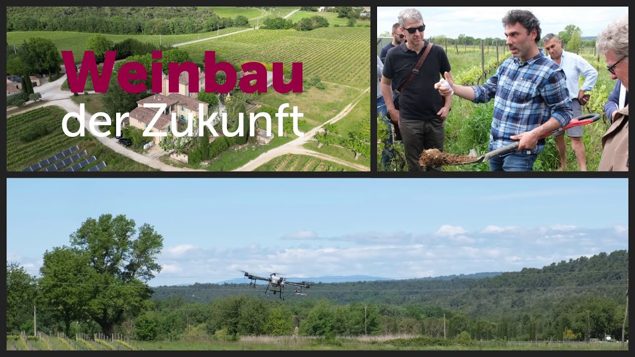 Recap internationales Delinat-Winzerseminar 2024 auf Ch&acirc;teau Duvivier
