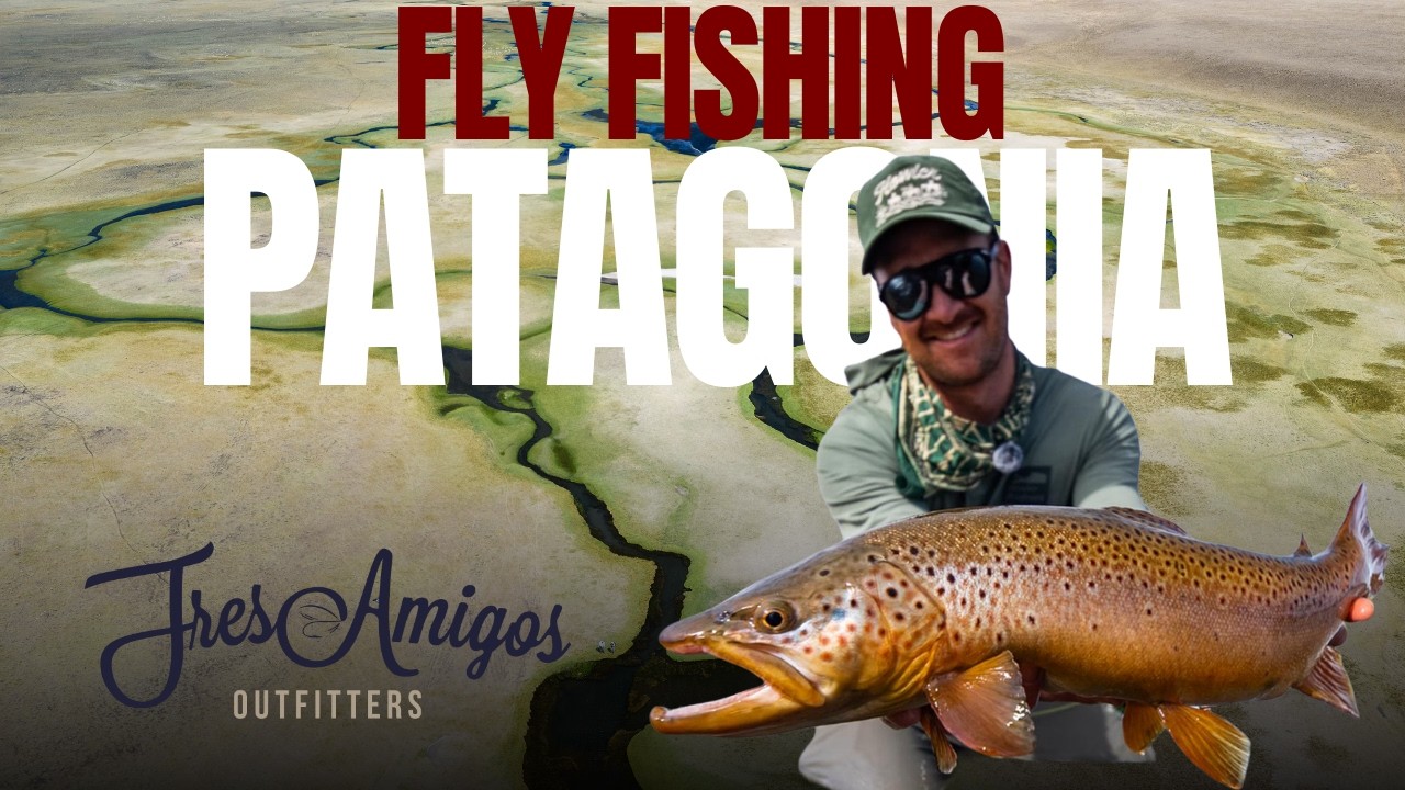 Patagonia Pt. 1 | King Salmon, Brook Trout & The Pivot That Changed Everything