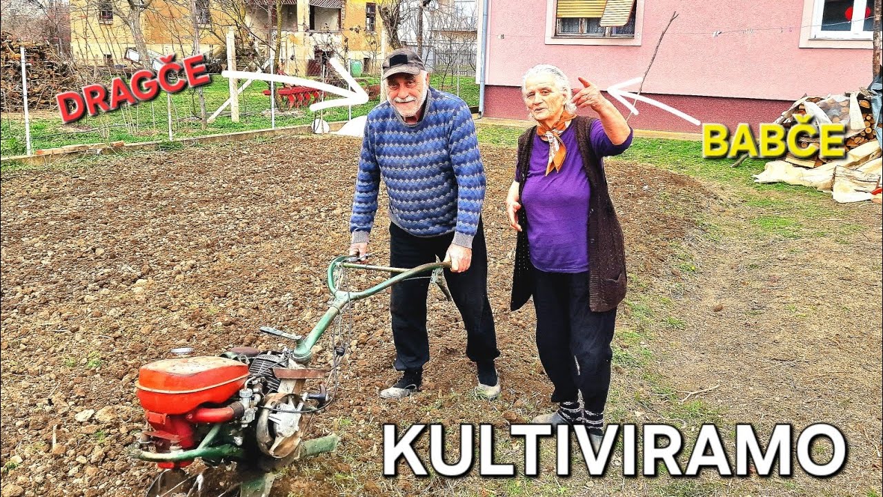 KULTIVIRAMO DVORIŠTE! DRAGI BESAN! *baba nadležni organ*