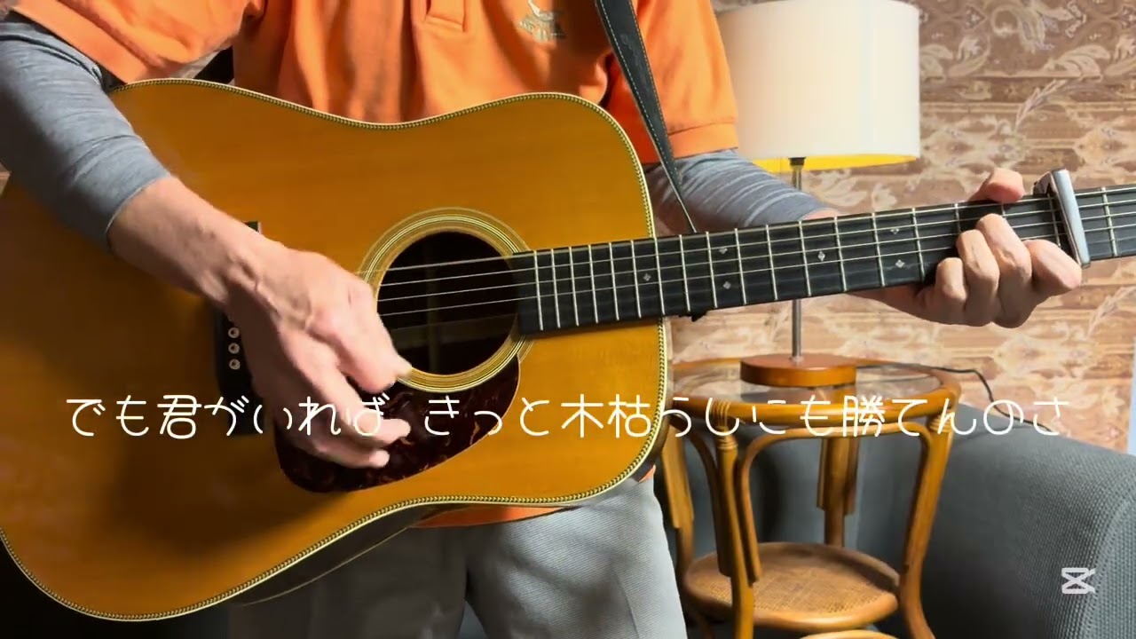 【冬の口笛】スキマスイッチ／アコギ弾き語り／cover