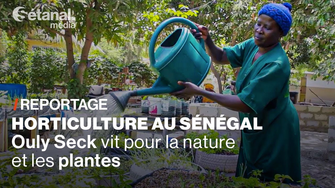 Horticulture au Sénégal | Ouly Seck vit pour la nature et les plantes | Sétanal