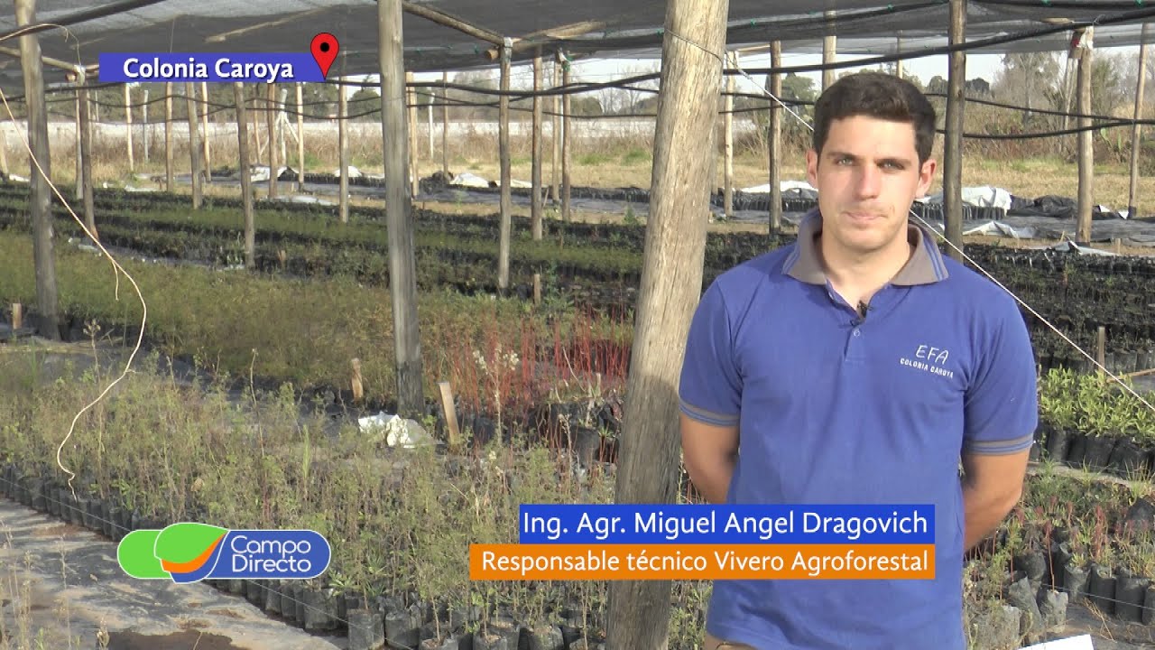 El Vivero Agroforestal Córdoba Norte cuenta con 45 especies nativas y exóticas
