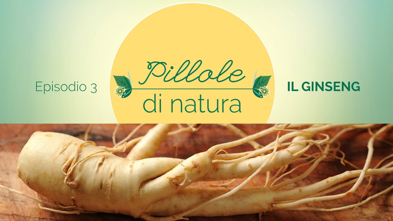Pillole di Natura: GINSENG - Rimedio Naturale per le sue proprietà adattogene