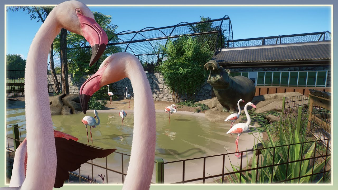 Let's Build A Flamingo Habitat! | Meadowside Park | Planet Zoo Speed Build