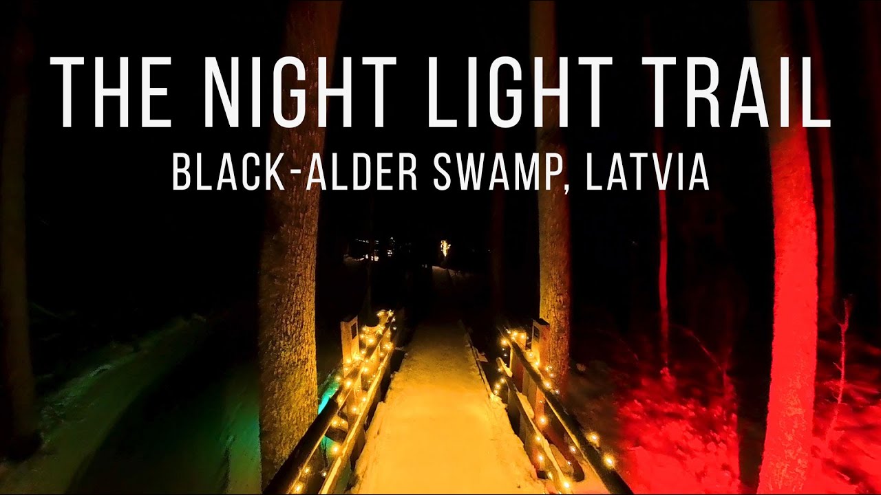 Night Lights Trail in the Frozen Swamp ❄️ -18°C | Ķemeri National Park, Latvia (No Talking, 4K)