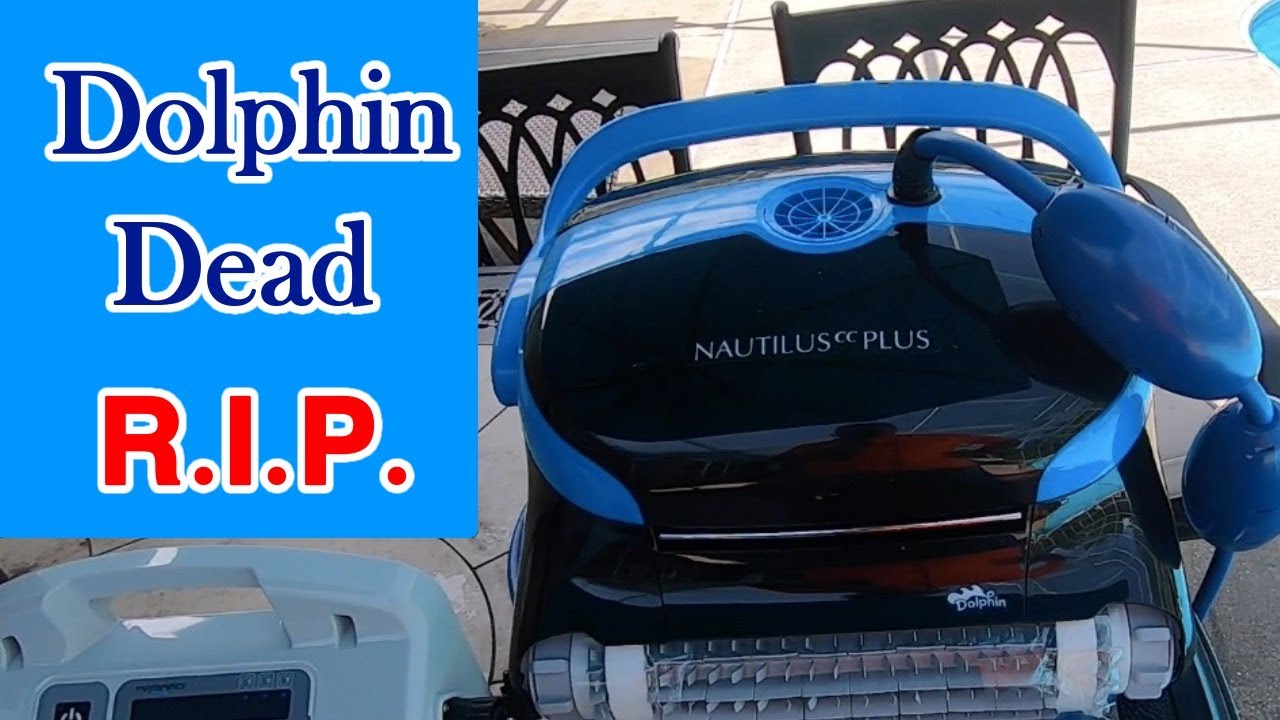 Dolphin CC Plus Dead — Хорошее и плохое