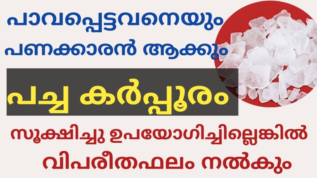 Pachakarpooram | വീട്ടിൽ സമ്പത്ത് ഉണ്ടാവാൻ വെയ്ക്കേണ്ട സ്ഥലങ്ങൾ | ഇങ്ങനെ ഉപയോഗിച്ചാൽ ദോഷം ഉണ്ടാവും