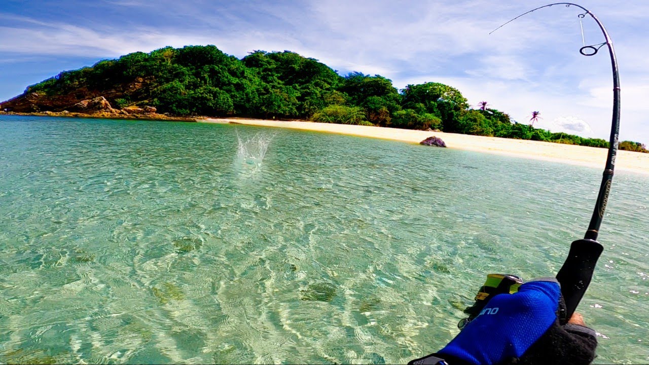 Crystal Clear Water - Beach Fishing❗Catch and Cook