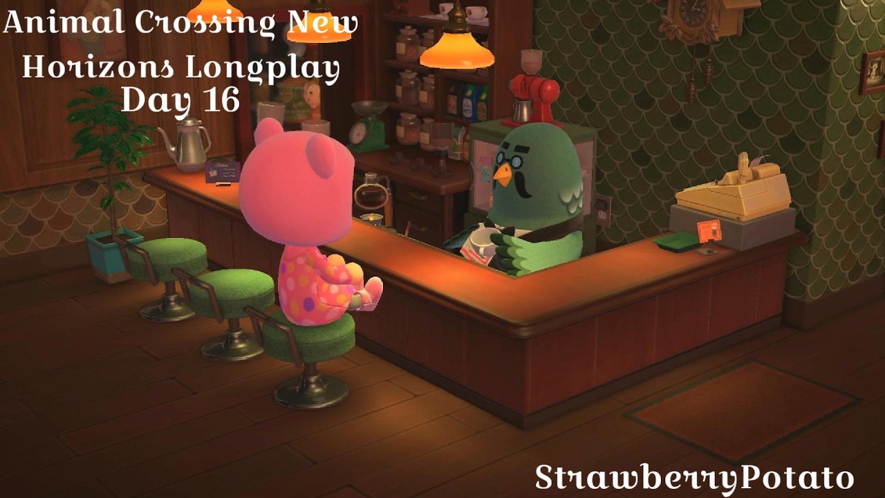 Happy Home Paradise Cozy Longplay | No Commentary | Animal Crossing New Horizons - Day 16 ⭐