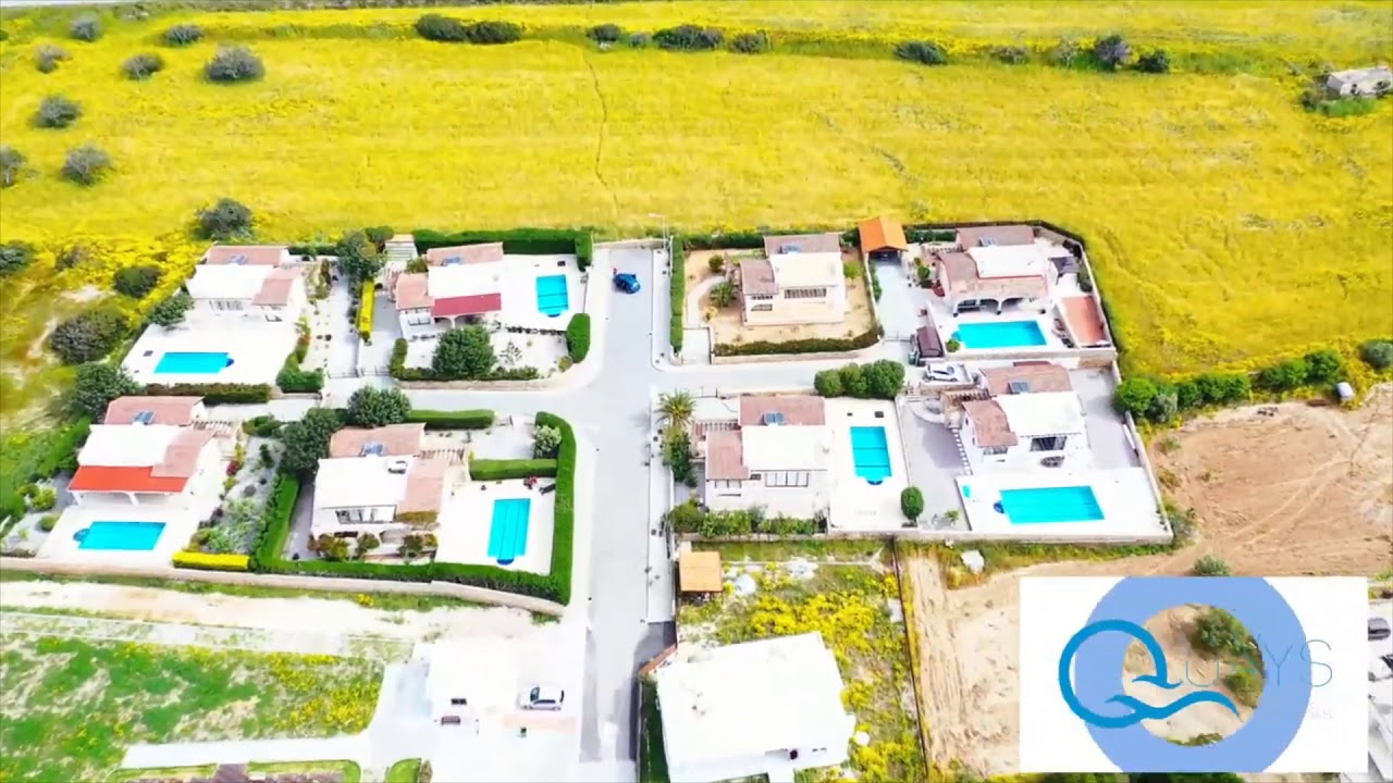 Море возможностей. Carrington Projects