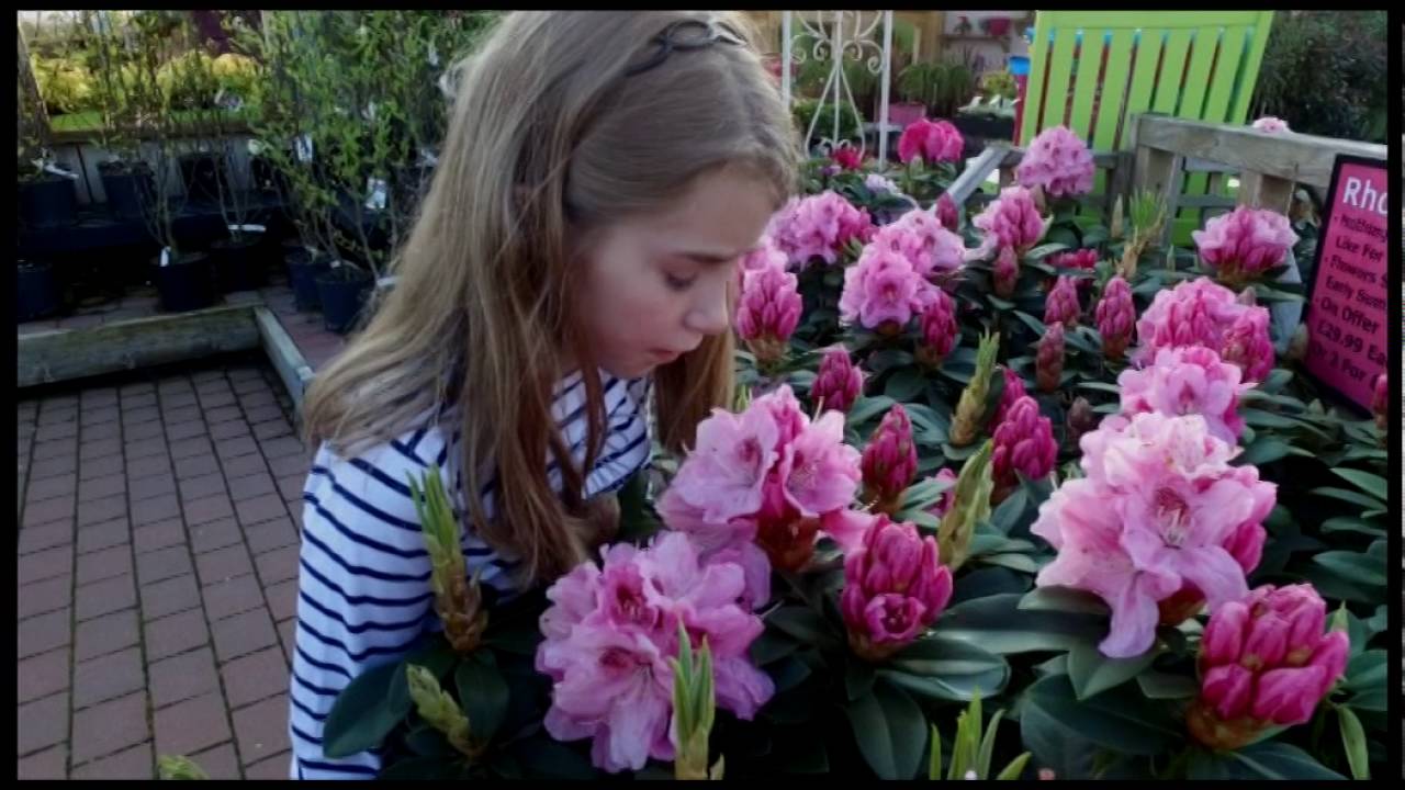 Lough View Garden Centre