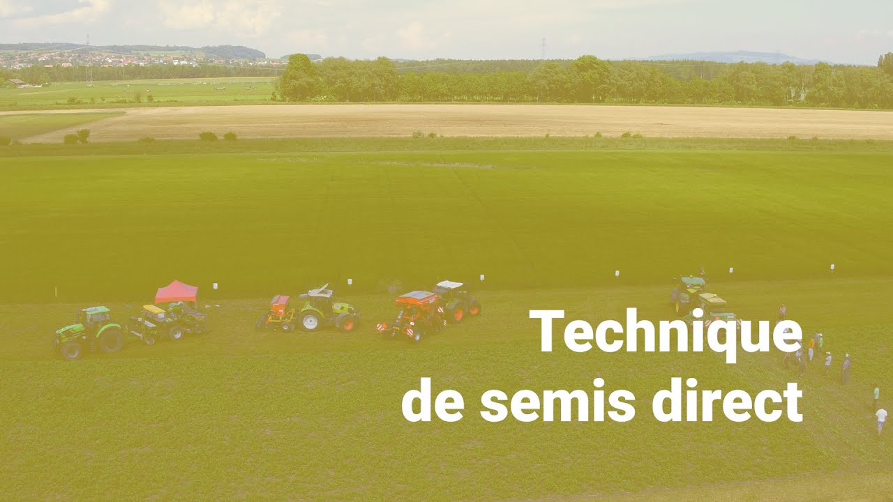 Technique de semis direct
