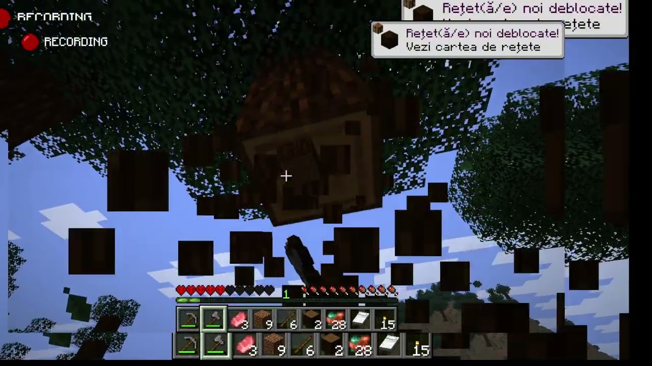 prinmul episodul  de mineceaft hardcore