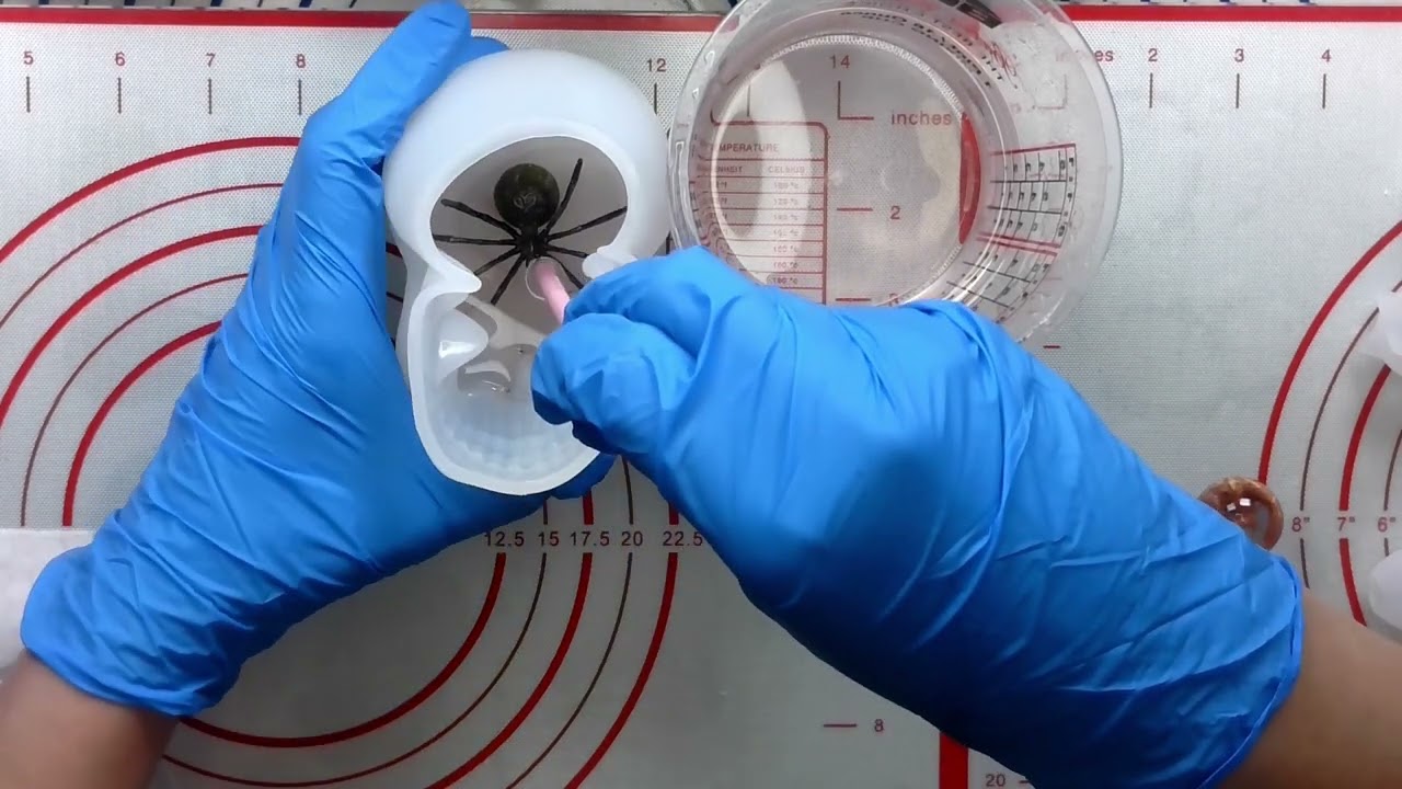 70. Spider in a Skull & Snail Skull in Resin *Sorry low audio during first half*