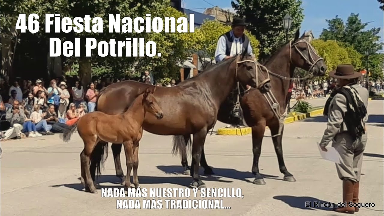 “Viviendo la Tradición: Fiesta Nacional del Potrillo en Coronel Vidal”