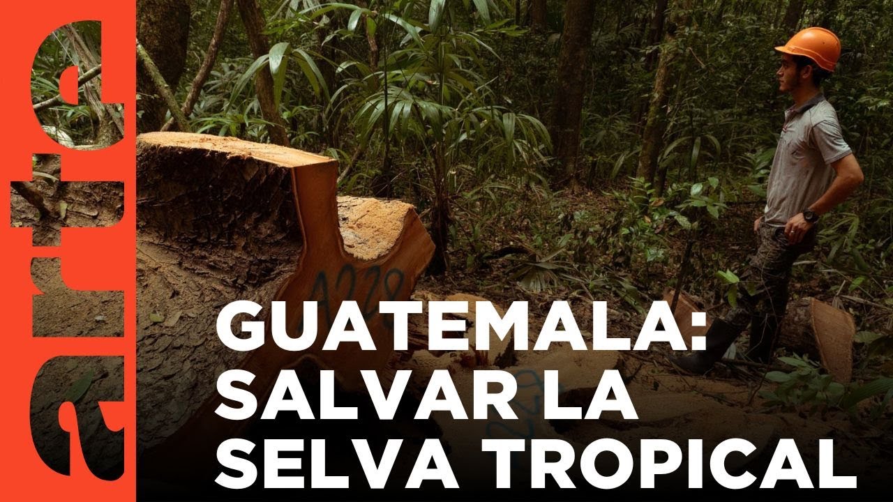 Guatemala: los guardianes del bosque tropical maya | ARTE.tv Documentales