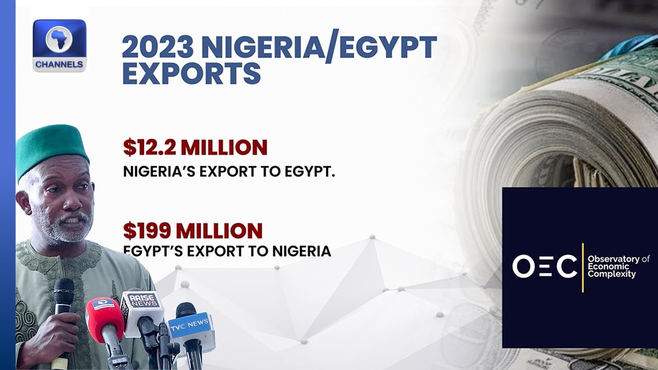 Foreign Affairs Minister, Yusuf Tuggar, Laments Nigeria-Egypt Trade Imbalance