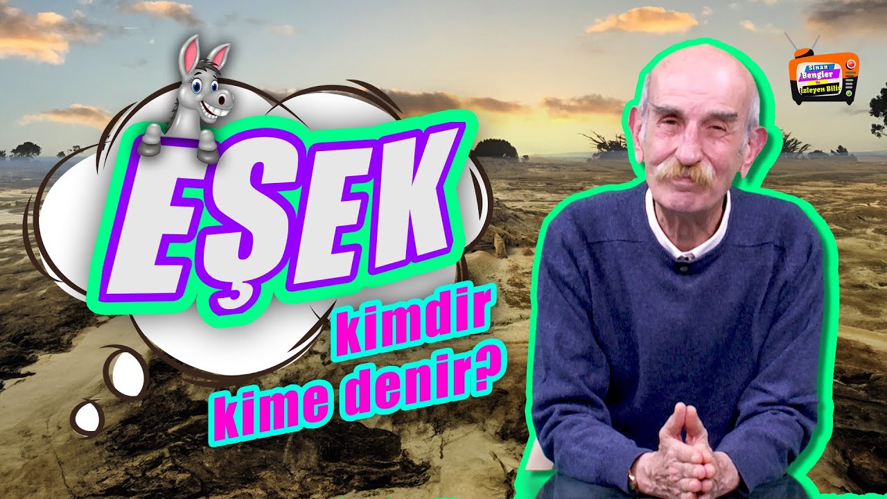 Eşek Deyip Ge&ccedil;me! İşte Eşeklerin Bilinmeyen &Ouml;zellikleri / Sinanbengier İle İzleyen Bilir