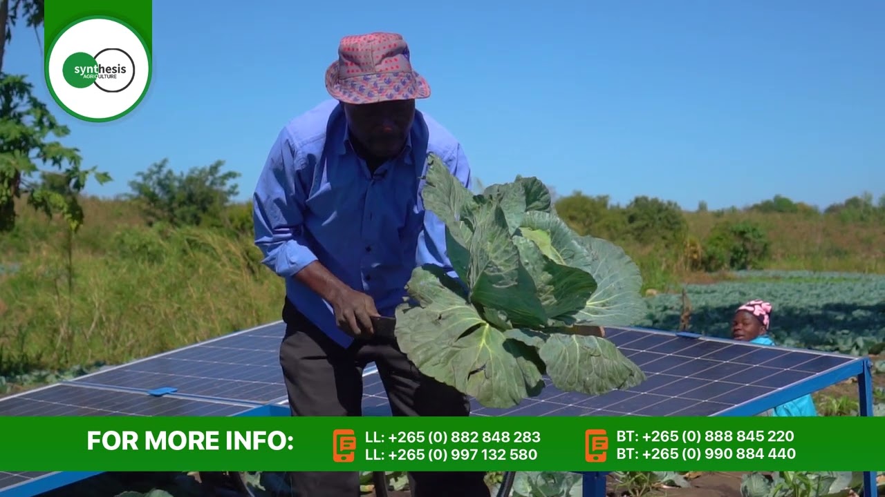 Mailosi Dinala — From Ntaja, Machinga to a New Farming Future!