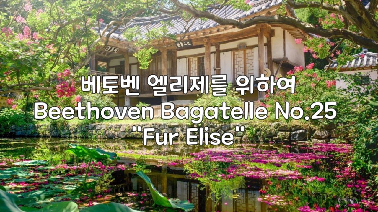 베토벤 엘리제를 위하여 Beethoven Bagatelle No.25 