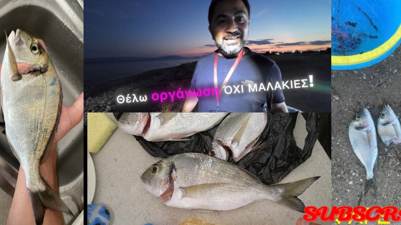 Ψάρεμα παραγάδι απο βάρκα intex 4 + κουνιάδος μας ξεφτιλίζει με 1.3 kg τσίπουρα!