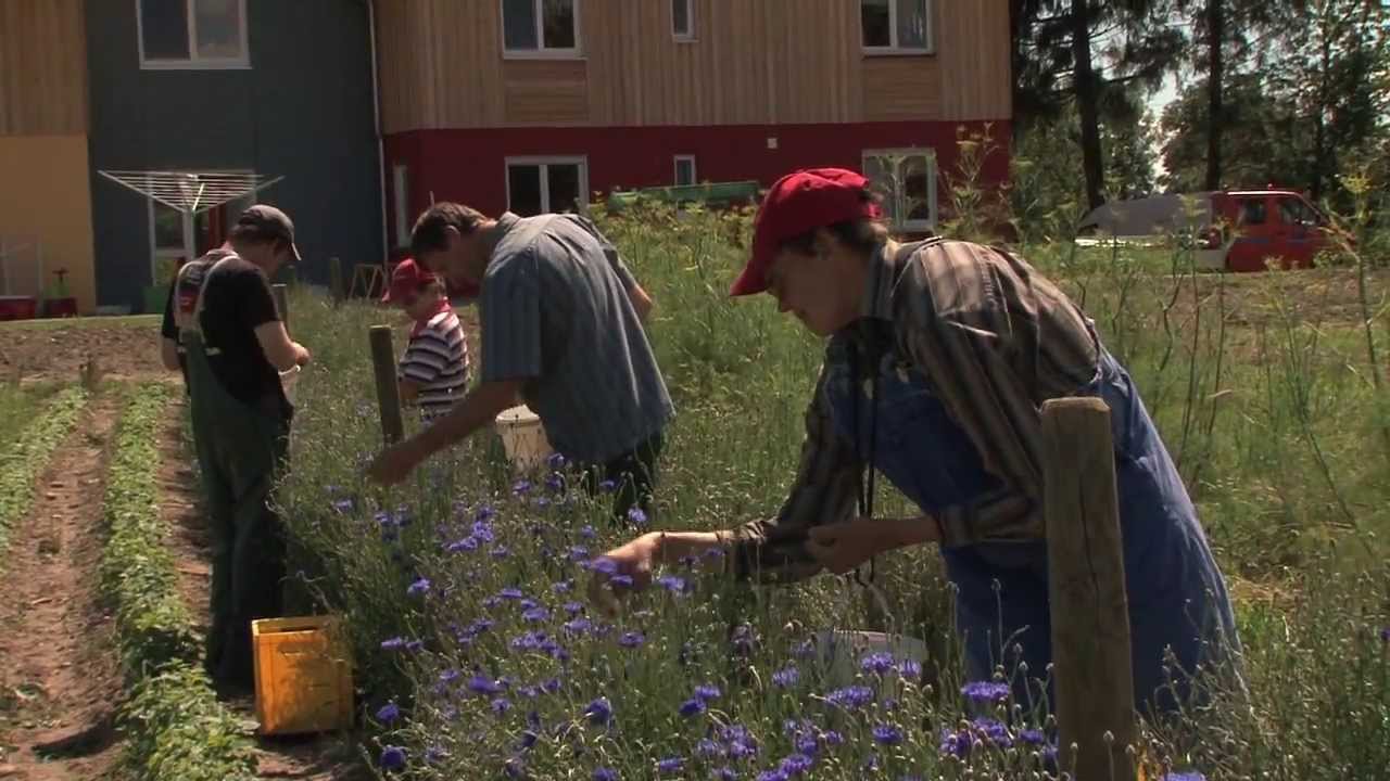 Kräuterwerkstatt - Hermannsberg Film Mosaik