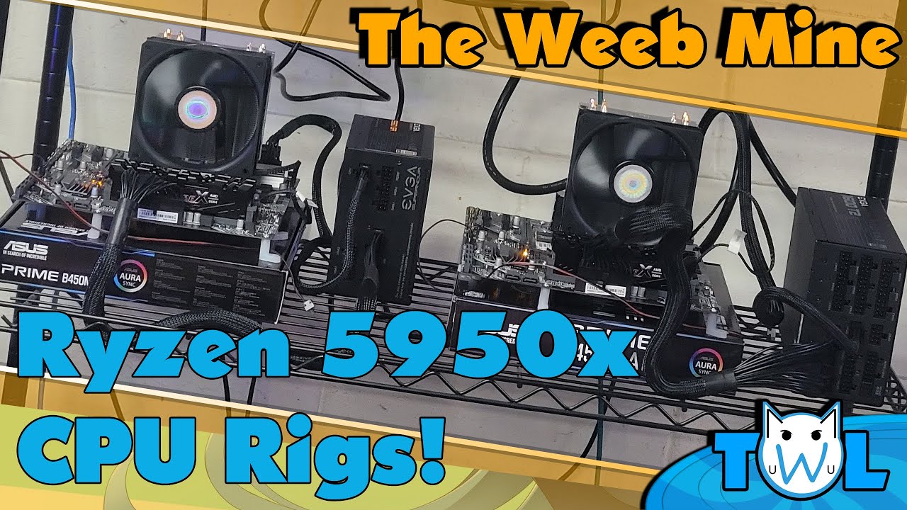 AMD Ryzen 5950x cpu mining rigs!  Going full Raptoreum!