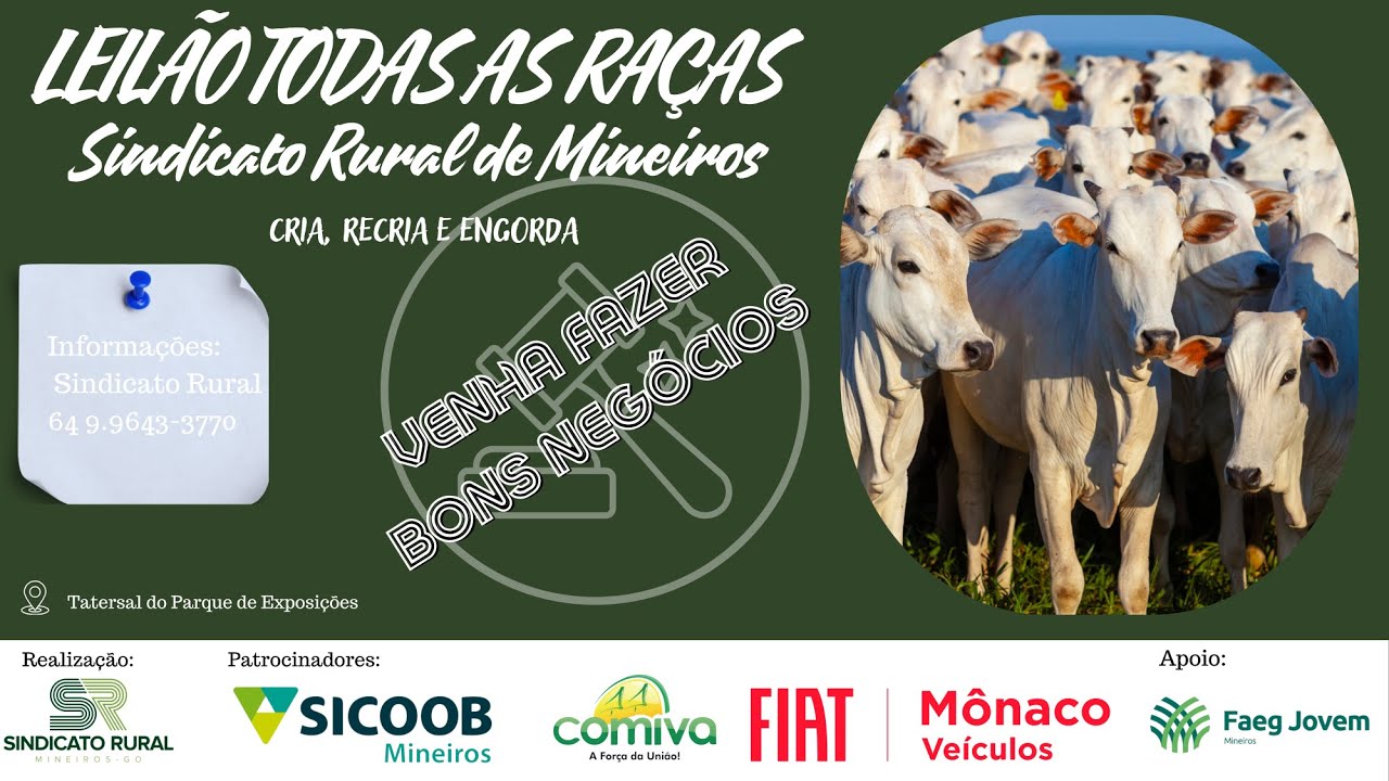 LEILÃO TODAS AS RAÇAS - MINEIROS-GO | 19/01/2026 | 19:30h