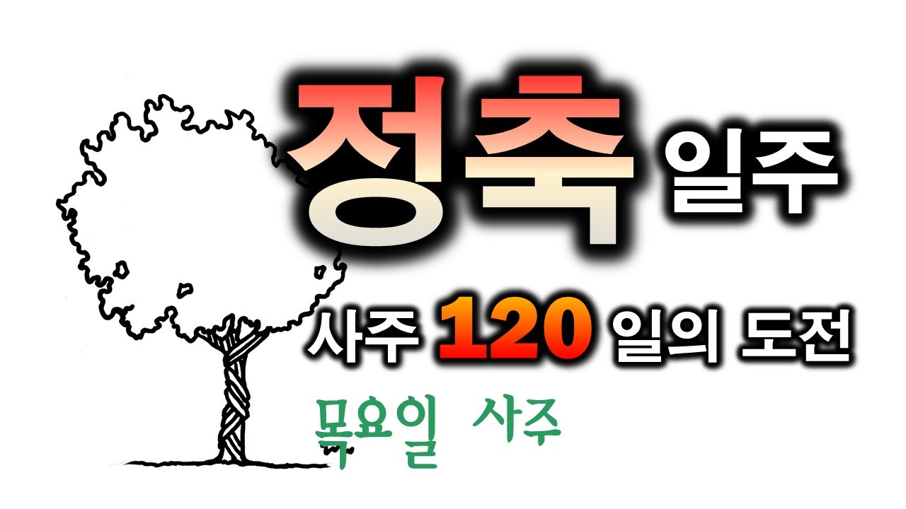 정축일주 한방정리(82일차)