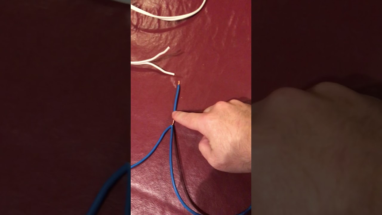 Cableado Completo Termostato STC 1000, tomador de corriente para frío y calor. Fácil y rápido.