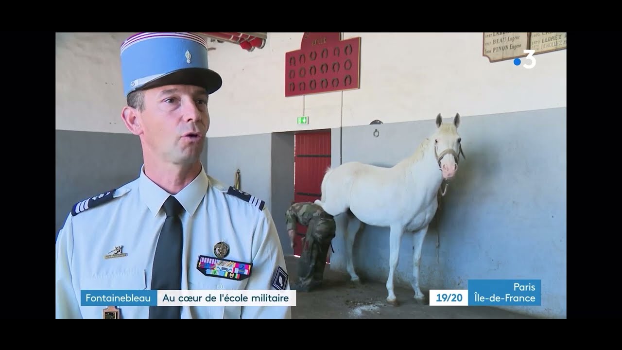 Au cœur de l'Ecole Militaire d'Equitation de Fontainebleau