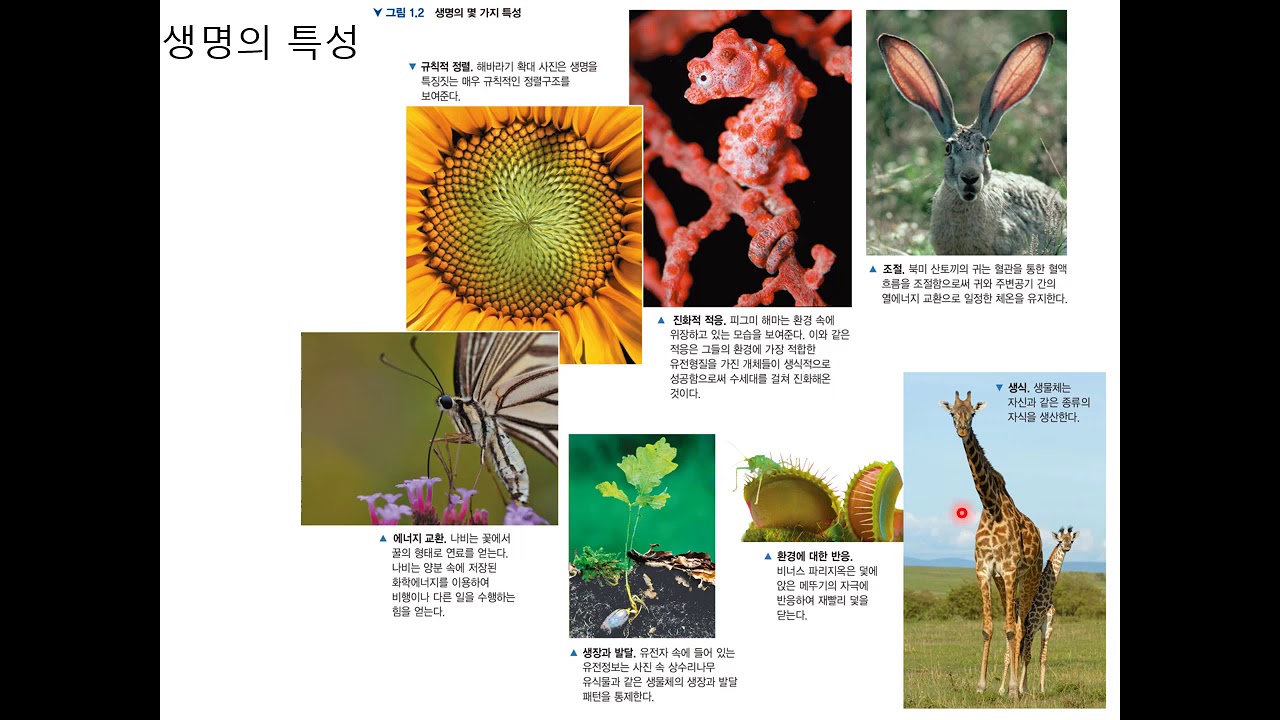 일반 생물학 1장 1