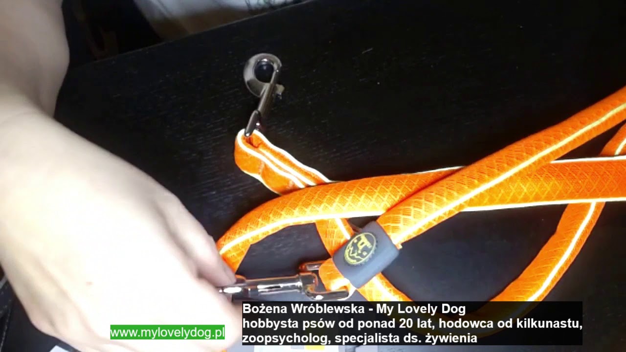 Wybór smyczy dla psa🐶