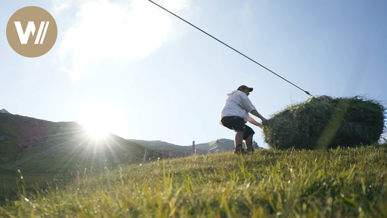 Hay harvesting with ropeway and helicopter in the steep Swiss Alps
