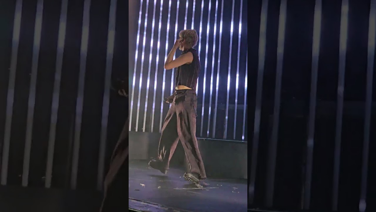 Jann | Gladiator (bis) | Poznań (Tama) 22.11.2023