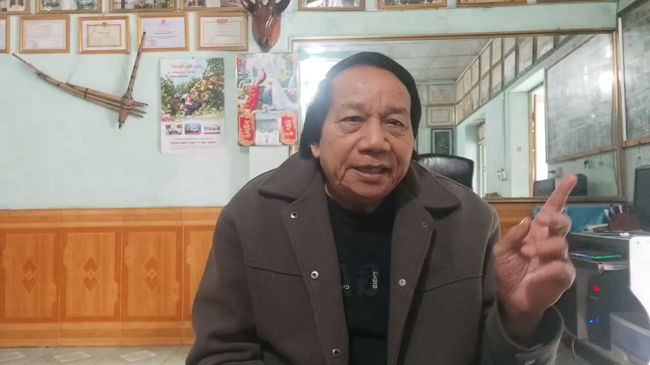 Cầm Vui: Quam Tô Tay mưa đai: Bai nộc chấu kiện meo (Cò kiện mèo)