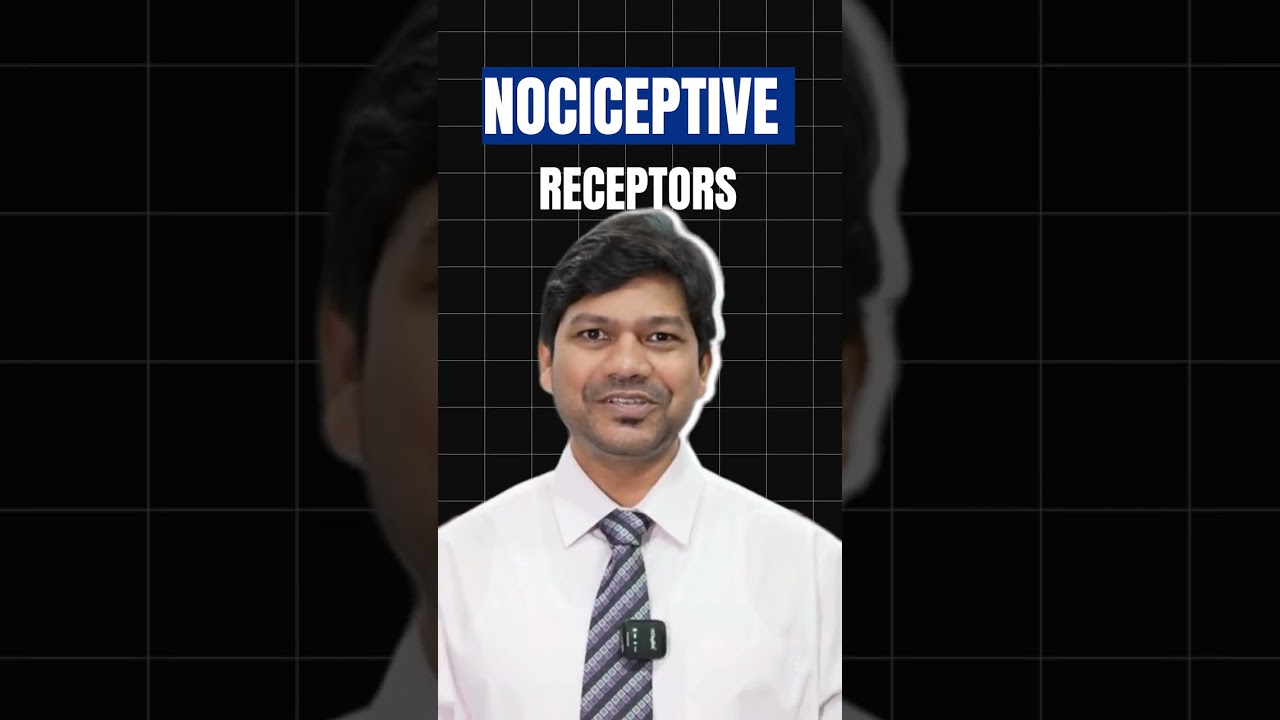 What is Nociceptive pain? | How do nociceptive receptors work? Dr Sanjog Mekewar