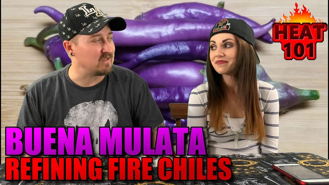 Buena Mulata Pepper From Refining Fire Chiles!