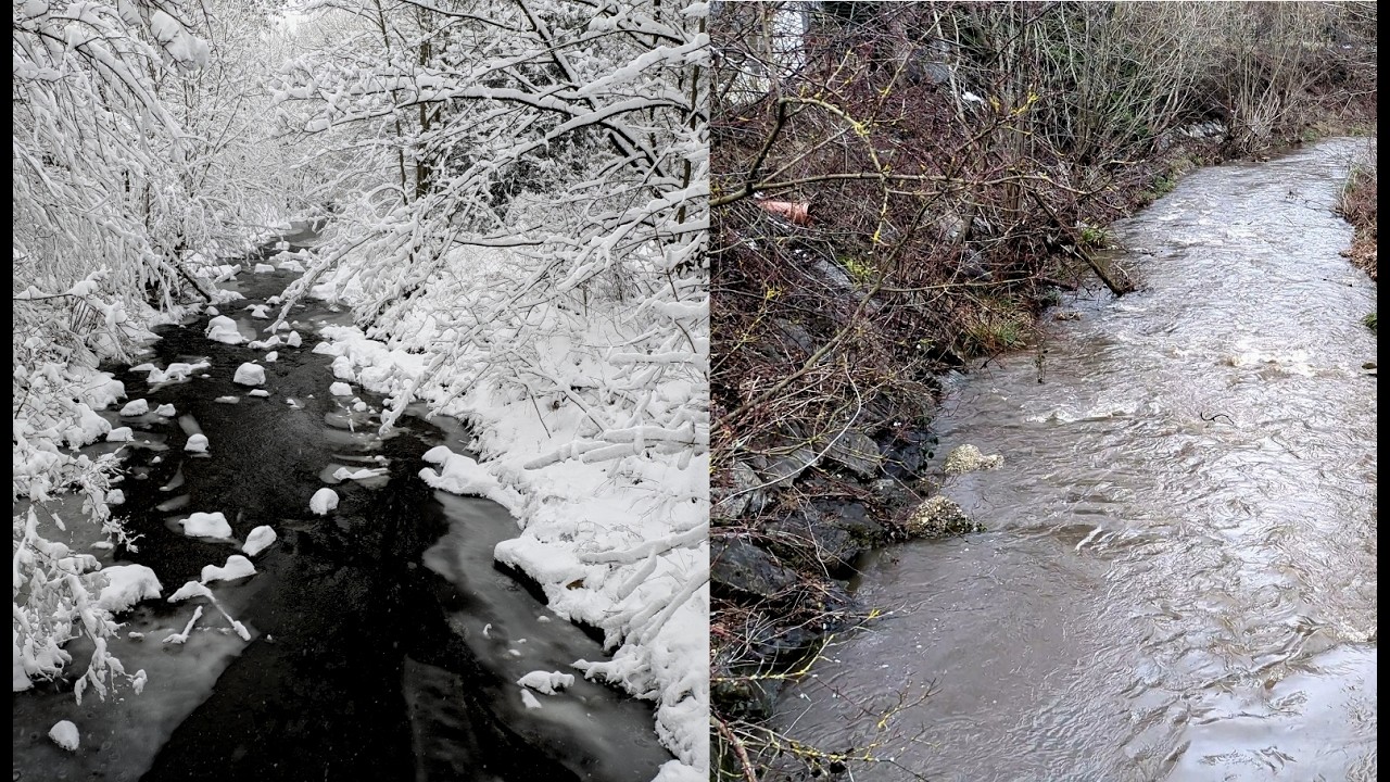Wintereinbruch und Tauwetter im Wienerwald (19.02.2026-22.02.2026)