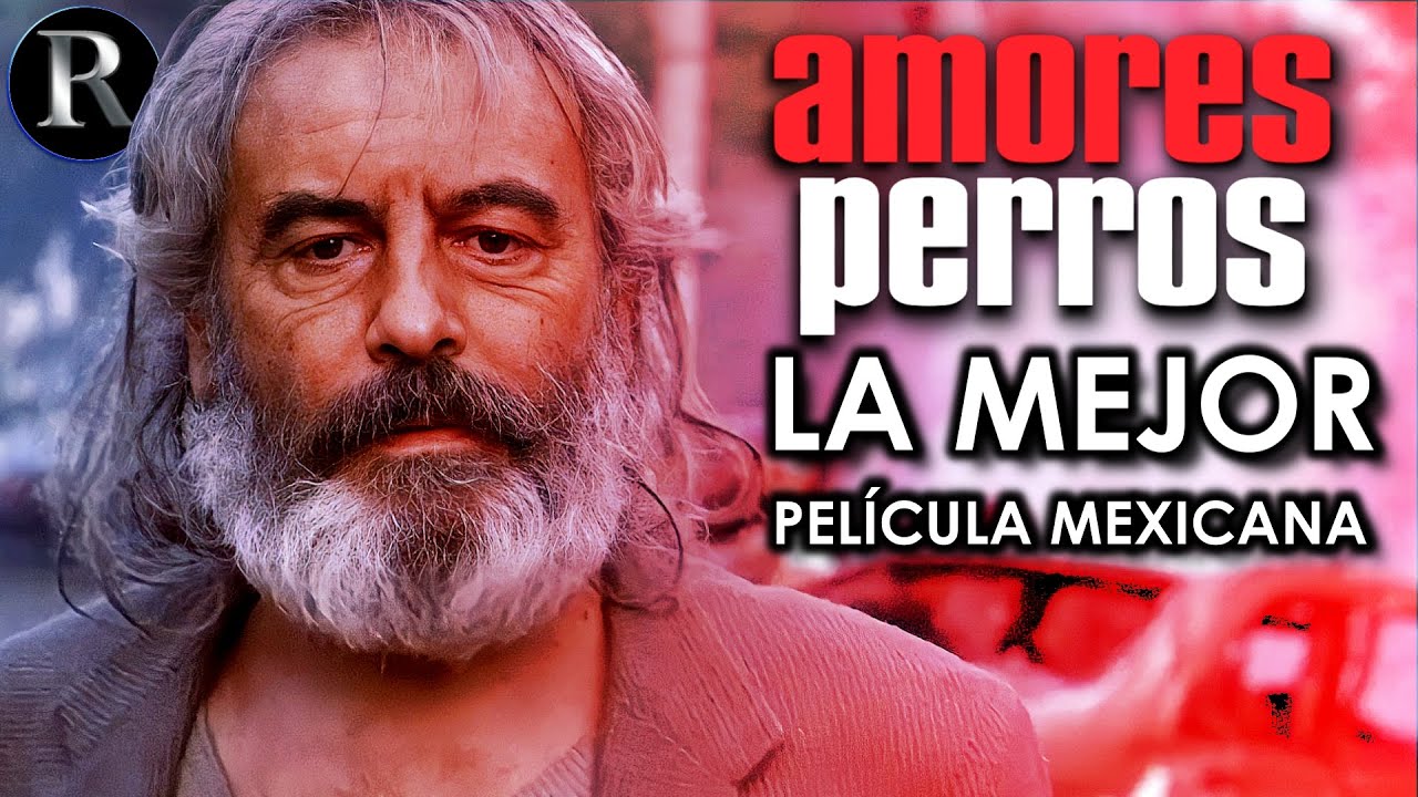 La Mejor Película Mexicana: Amores Perros | Análisis y Explicación